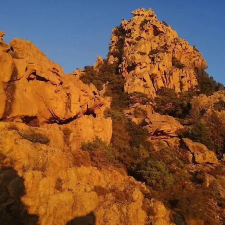 Ravissant Au Coeur De Piana *