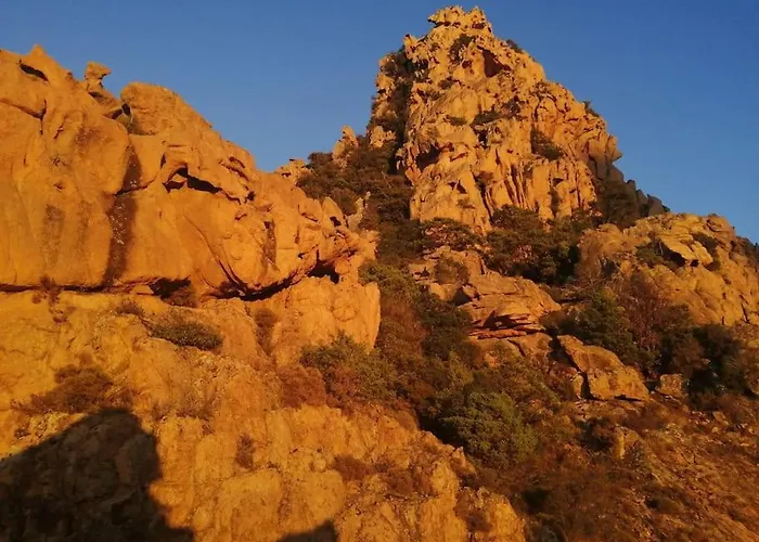 Ravissant Au Coeur De *